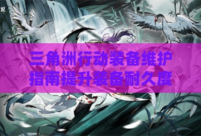 三角洲行动装备维护指南提升装备耐久度有效修复技巧